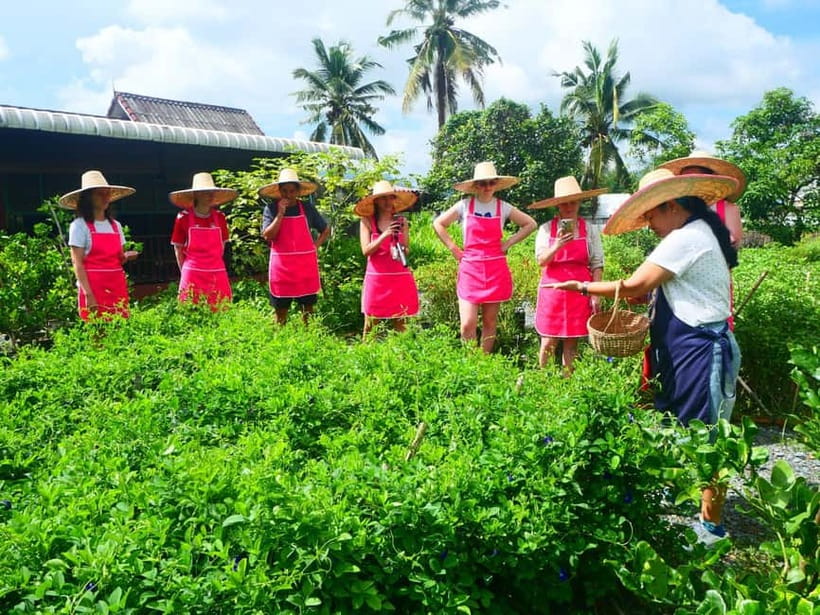 Half-Day Thai Cooking Class on a Local Farm Near Chiang Mai - Herb Garden Walk at an Organic Farm: See the Flavors Before You Cook
