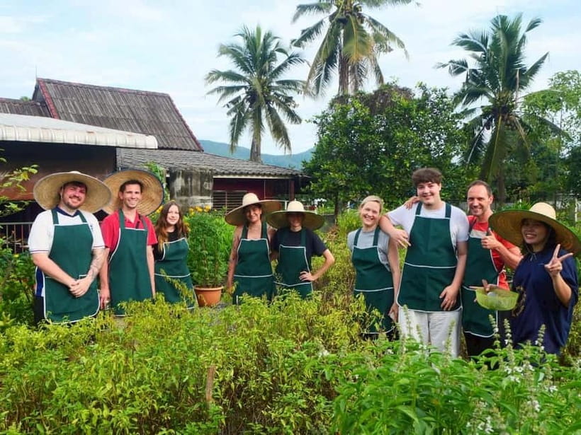 Half-Day Thai Cooking Class on a Local Farm Near Chiang Mai - Fruit Picking From the Trees: Longans and Mangoes in Season