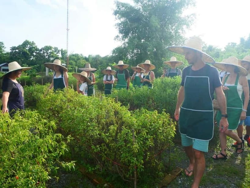 Half-Day Thai Cooking Class on a Local Farm Near Chiang Mai - Price and Value: Is $28 Good for a 6-Hour Farm Experience?