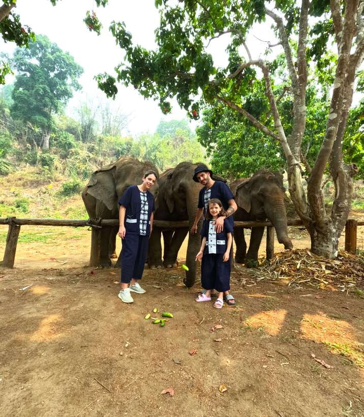 Half-day with CHIANGMAI ELEPHANT CARE program (12pm-6pm.) - Key things worth knowing before you go