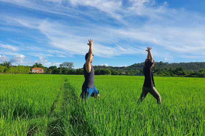 Half-Day Yoga, Meditation, and Thai Cultural Immersion in Chiang Mai - Key highlights worth caring about