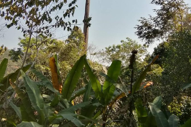 Hiking and Zipline Private Tour from Chiang Mai +Karen Village - Guides and Drivers: The Real Difference on a Tough Day
