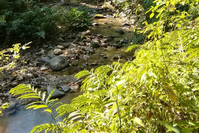Hiking and Zipline Private Tour from Chiang Mai +Karen Village - Lunch Included: The Best Kind of Convenience