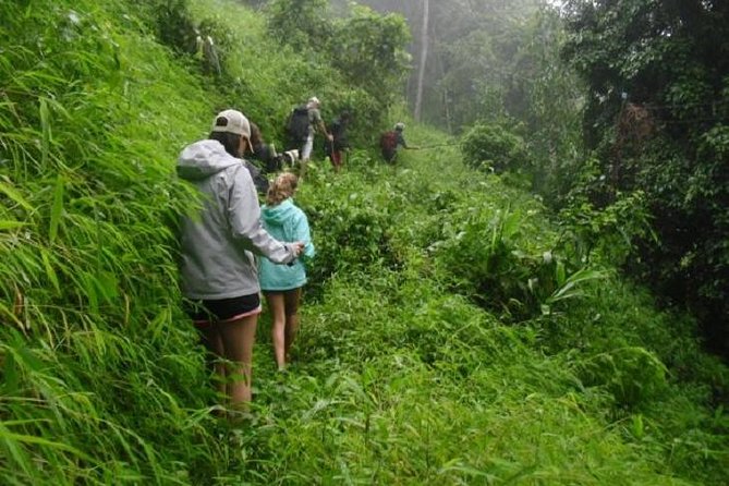 Hiking and Zipline Private Tour from Chiang Mai +Karen Village - Pickup at 8:00am and a Private Day That Feels Planned