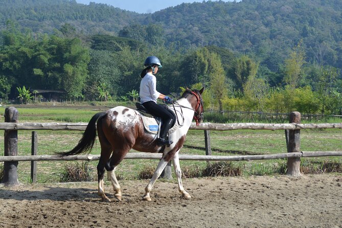 Horse Lesson+Riding+Wat Tonkwen wooden temple.Chiangmai - Key Takeaways Before You Go