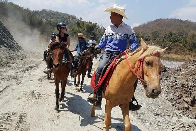 Horse Lesson+Riding+Wat Tonkwen wooden temple.Chiangmai - Staff, Animals, and Trust: The Part That Makes This One Worth Considering
