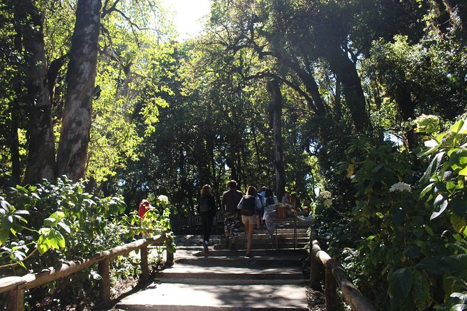 Inthanon Day Trip from Chiang Mai with Lunch - Group or Private - Wachirathan Falls: the water stop that resets the day