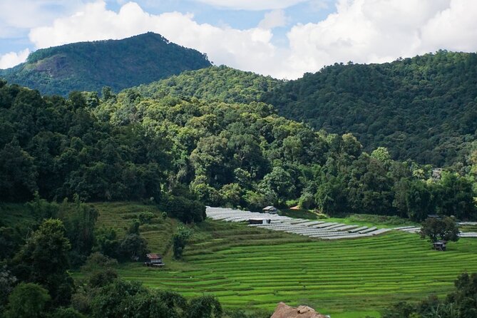 Inthanon National Park Tour with Soft Hike at Pha Dok Siew Trail - Getting there and staying comfortable in a small group