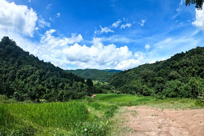Inthanon National Park Tour with Soft Hike at Pha Dok Siew Trail - Lunch and the Royal Project Station: a break that matters