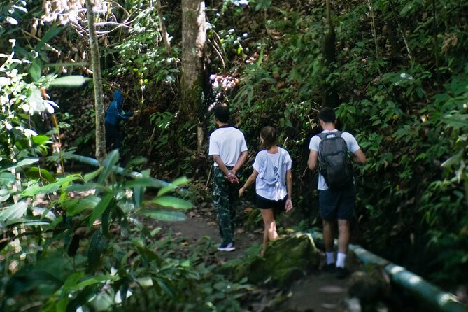 Inthanon National Park Tour with Soft Hike at Pha Dok Siew Trail - Karen hill tribe village at Ban Mae Klang Luang
