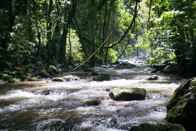 Inthanon National Park Tour with Soft Hike at Pha Dok Siew Trail - Who this tour suits best (and who should rethink it)
