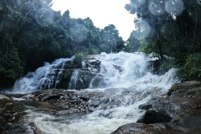 Inthanon National Park Tour with Soft Hike at Pha Dok Siew Trail - What you pay (and why it’s not just a cheap ride)