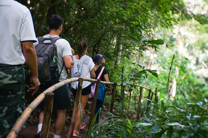 Inthanon National Park Tour with Soft Hike at Pha Dok Siew Trail - Stop-by-stop: from Doi Inthanon to the royal pagodas