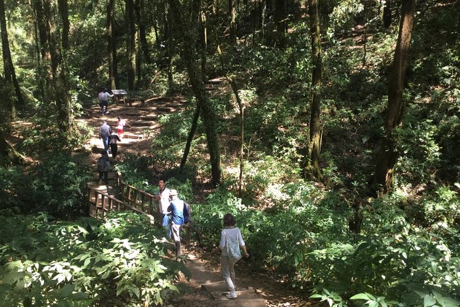Inthanon Small-Group with Kew Mae Pan Trail from Chiang Mai include Lunch - Morning Pickup And The Drive Into Doi Inthanon Territory