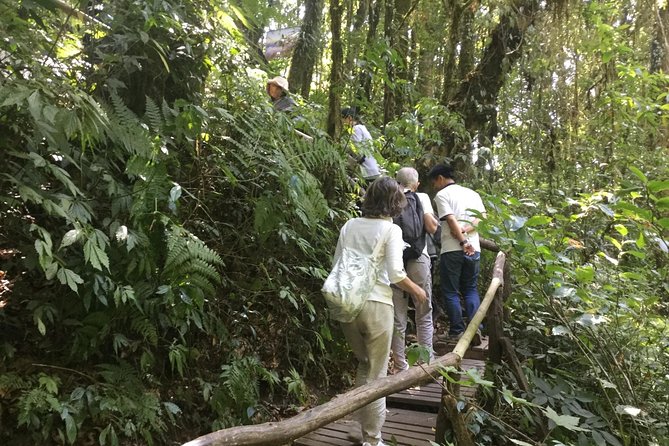 Inthanon Small-Group with Kew Mae Pan Trail from Chiang Mai include Lunch - Kew Mae Pan Nature Trail: The Best Stretch For Walking Fans