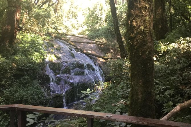 Inthanon Small-Group with Kew Mae Pan Trail from Chiang Mai include Lunch - Price And Value: What You’re Really Paying For