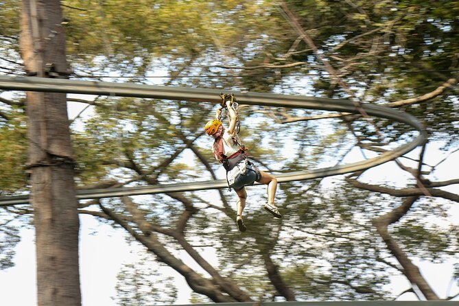 Jungle Flight Zipline Adventure From Chiang Mai - Key Highlights You’ll Actually Care About