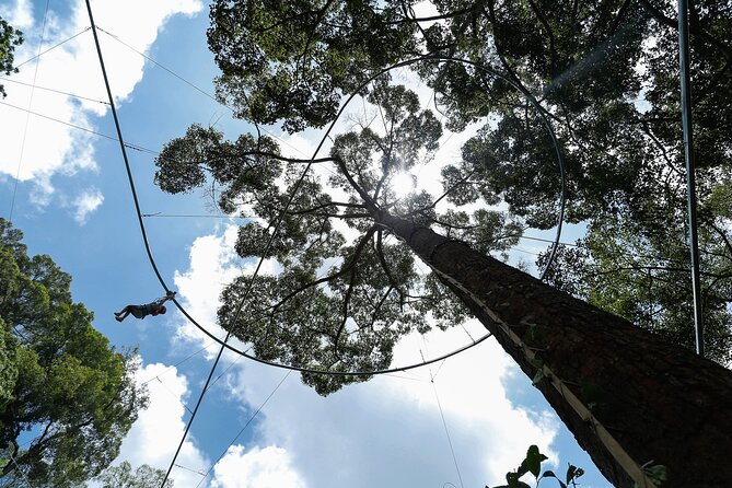 Jungle Flight Zipline Adventure From Chiang Mai - The Treetop Course: 34 Platforms and 22 Ziplines