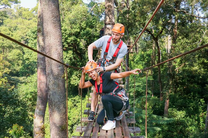 Jungle Flight Zipline Adventure From Chiang Mai - The Rainforest Lesson: Why It’s Not Just a Side Note
