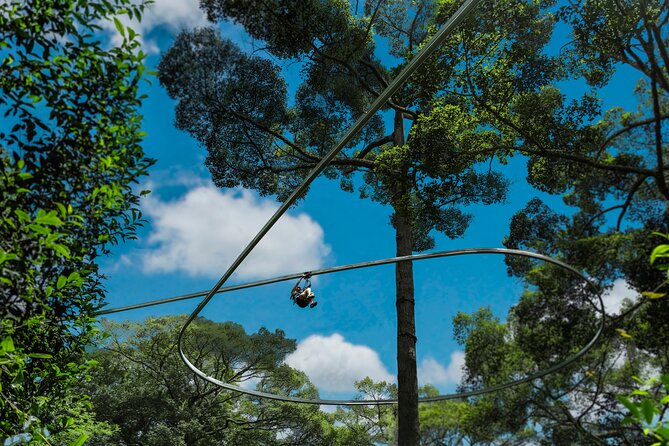Jungle Flight Zipline Roller Coaster - The Jungle Roller Coaster Finish: Why It Changes the Day’s Mood