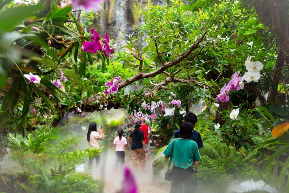 Lalita Cafe & Chiang Rai Temple(White+Blue) from Chiangmai - Comfort rules that will save your day