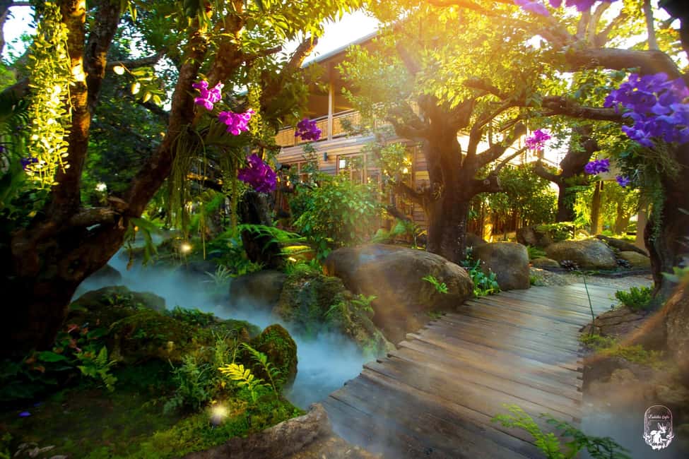 Lalita Cafe & Chiang Rai Temple(White+Blue) from Chiangmai - Mae Kachan Hot Springs: steam, warm water, and boiled eggs