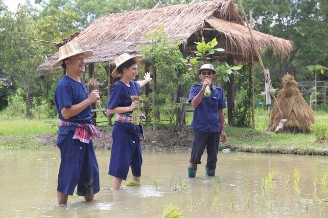 Local Farming Experience in Chiang Mai, Thailand - Should you book Hang Tueng Farm’s local farmer experience?