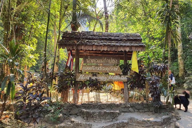 Lost in Chiang Mai - Secret Village, Hot Spring & Waterfall - A Cultural Therapy - The small-group format: why it feels more personal