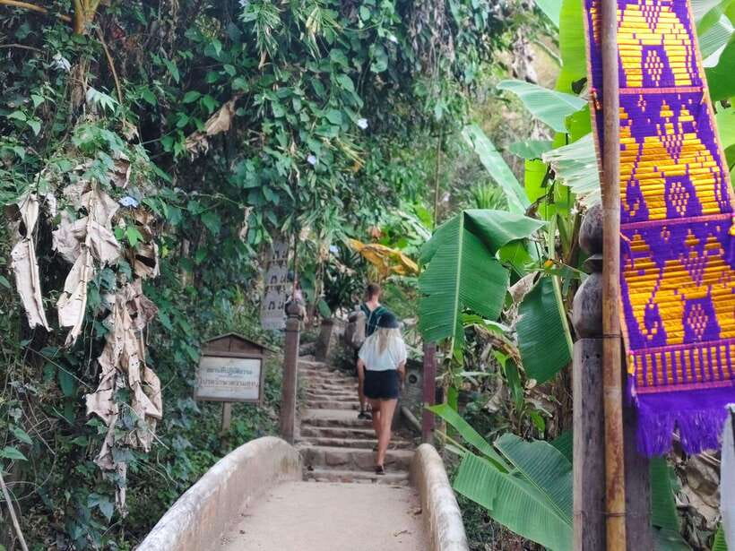 Monk trails hike, Wat Phalat, Monk chanting, Wat Doi Suthep. - Lunch, Transport, and the Comfort Details That Matter