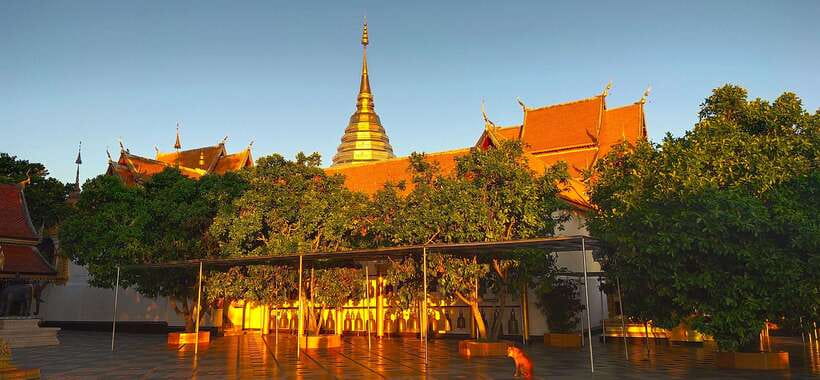 Monk trails hike, Wat Phalat, Monk chanting, Wat Doi Suthep. - Should You Book This Monk Trails + Wat Doi Suthep Tour?