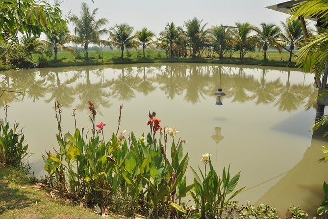 Morning Cooking Class in Organic Farm with Local Market Tour - The Best Thai Cookery School: open-air kitchen on an organic farm