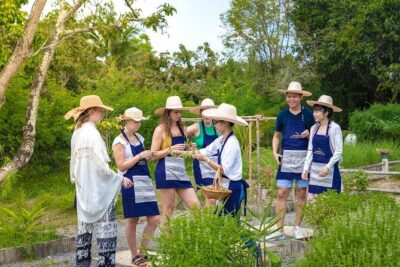 Morning Cooking Class in Traditional Pavilion with Beautiful Garden - Chiang Mai - Organic farm time: mushrooms, eggs, herbs, and the real work of flavor