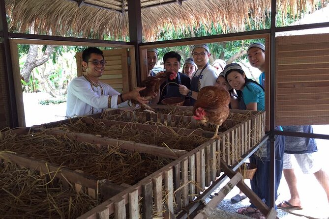 Morning Cooking Class in Traditional Pavilion with Beautiful Garden - Chiang Mai - Price and value: is $50.50 worth four hours of market and cooking?