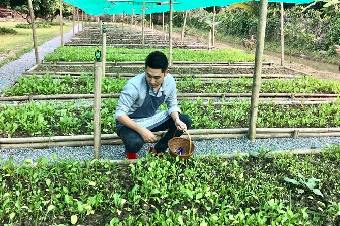 Morning Cooking Class in Traditional Pavilion with Beautiful Garden - Chiang Mai - A practical drawback: pickup issues and how to protect your schedule