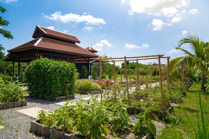 Morning Thai Cooking with Grandma - Market Visit & Farm Tour - Recreating It at Home: QR E-Recipes You Can Actually Use