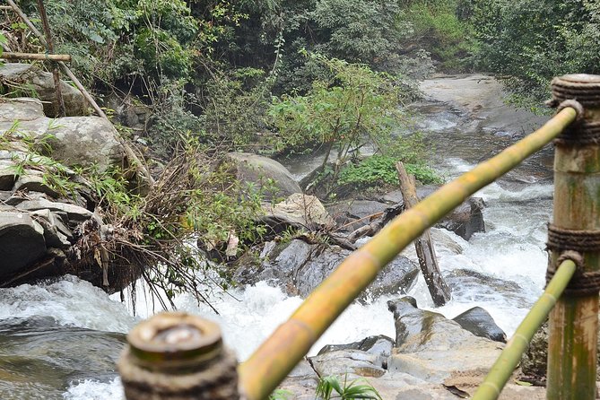 Mount Doi Inthanon Hiking & Bird Watching - The 1.5-hour guided nature trail: rice, flowers, waterfall, and coffee