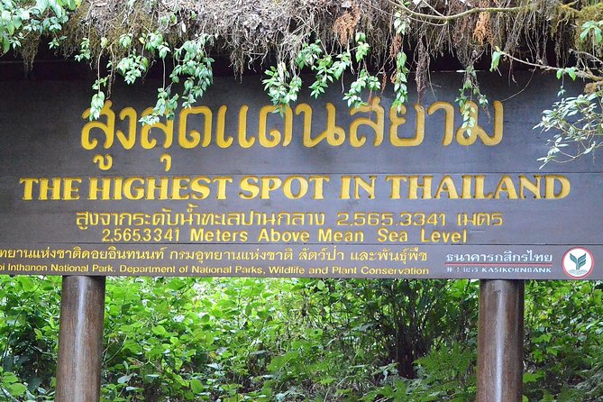 Mount Doi Inthanon Hiking & Bird Watching - What the weather and gear advice really means for you