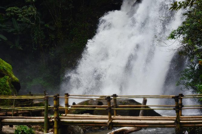 Mount Doi Inthanon Hiking & Bird Watching - Price and value: $152.50 for a day that covers a lot