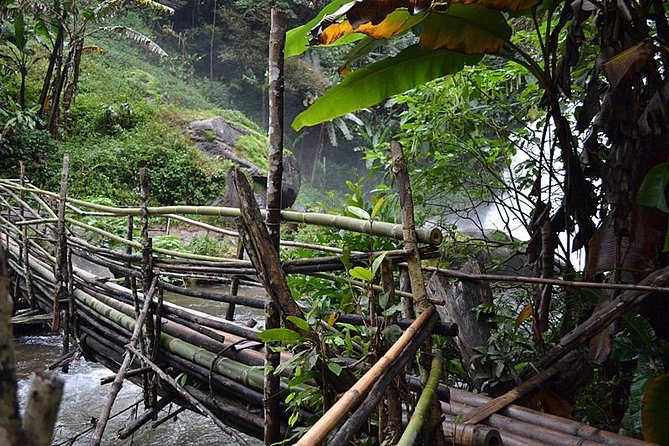 Mount Doi Inthanon National Park Sunrise and Hiking - The Hike Parts: Guided, Comfortable, and Not Just a Walk in a Park