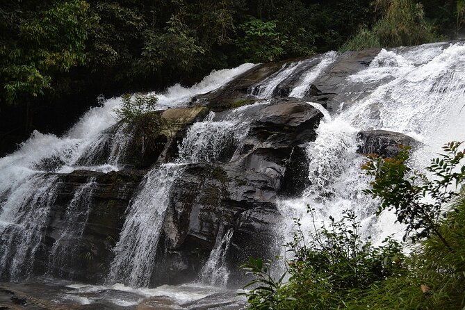 Mount Doi Inthanon National Park Sunrise and Hiking - Stop 3: Mae Khlang Luang Village Coffee Moment