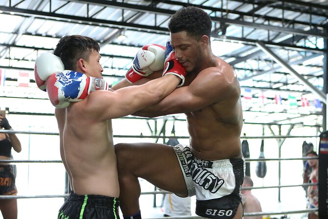 Muay Thai Experience - 1/2 Day - A rice-field gym run by seasoned Thai pros