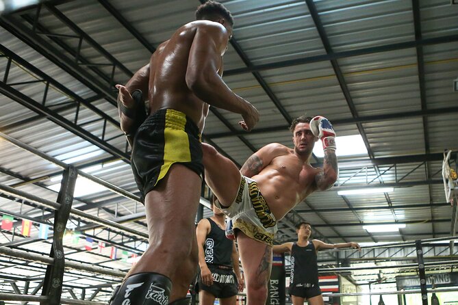 Muay Thai Experience - 1/2 Day - Price and value: what $90.35 buys you
