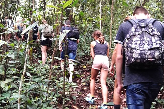 No.1 Chiang Mai: 3-Hour Monk Trail Hike to Wat Doi Suthep & Palad - The 3-hour Monk’s Trail: what that time box feels like