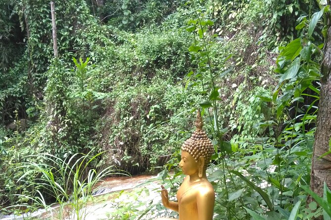 No.1 Chiang Mai: 3-Hour Monk Trail Hike to Wat Doi Suthep & Palad - Guides matter most: Aidan, Danai, and the plant-and-animal spotting
