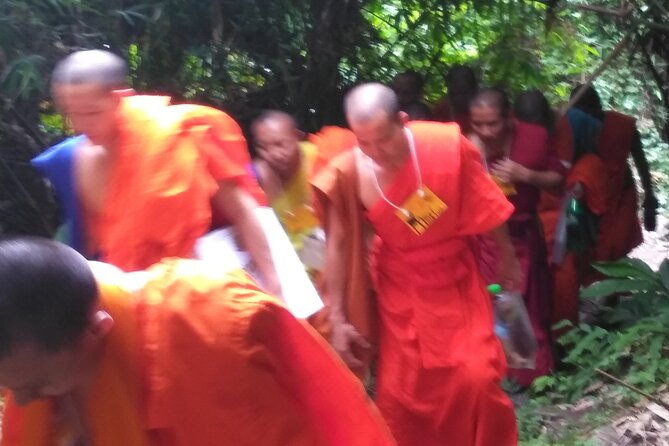 No.1 Chiang Mai: 3-Hour Monk Trail Hike to Wat Doi Suthep & Palad - Stop 1 in practice: Doi Suthep-Pui National Park as your warm-up
