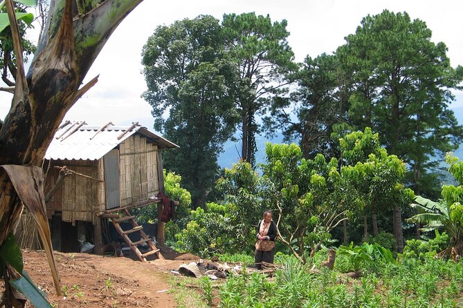 No.1 Chiang Mai: Advanced Downhill Mountain Biking, Suthep N.Park - Stop 1 in Doi Suthep–Pui National Park: Summit-to-Valley Trail Breakdown