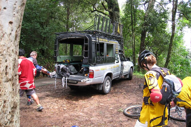 No.1 Chiang Mai: Advanced Downhill Mountain Biking, Suthep N.Park - Who This Tour Fits Best (And Who Might Be Happier Elsewhere)