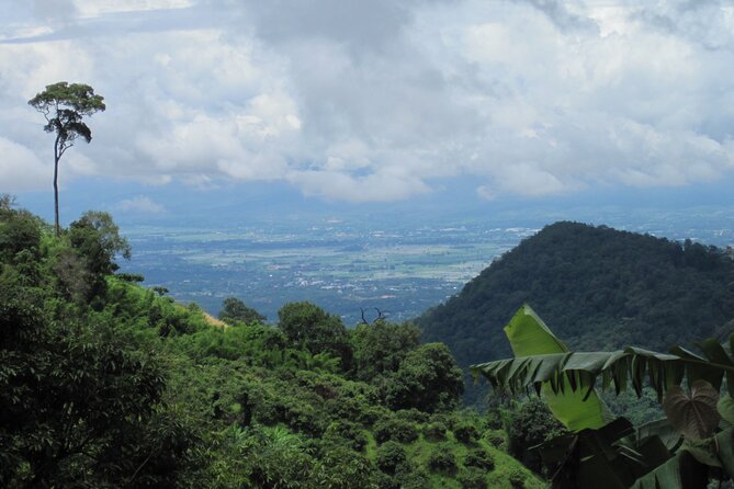 No.1 Chiang Mai: Advanced XC Downhill Biking, Doi Suthep N. Park - Jungle tracks, plantation coffee, and the rhythm of single track