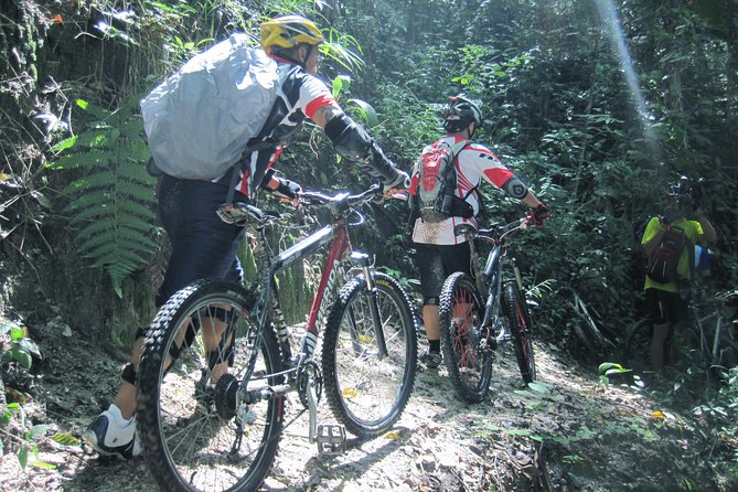 No.1 Chiang Mai: Advanced XC Downhill Biking, Doi Suthep N. Park - Lake Huay Tueng Tao: lunch and a real finish line
