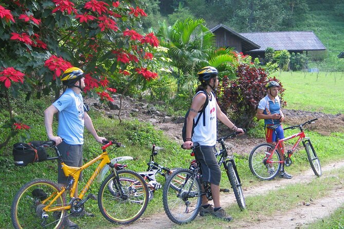 No.1 Chiang Mai: Advanced XC Downhill Biking, Doi Suthep N. Park - Who should book this advanced downhill XC ride